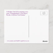 Rubberboom Curvy roots Fort Myers Briefkaart (Achterkant)