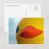 rubbereend briefkaart (Voorkant / Achterkant)