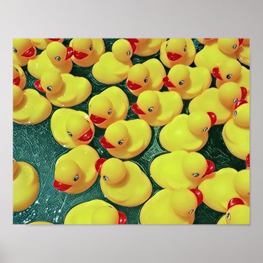 Rubbereenden Poster (Voorkant)