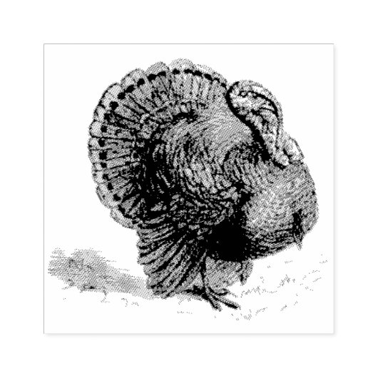  rubberen moeras Turkije Rubberstempel (Afrduk)