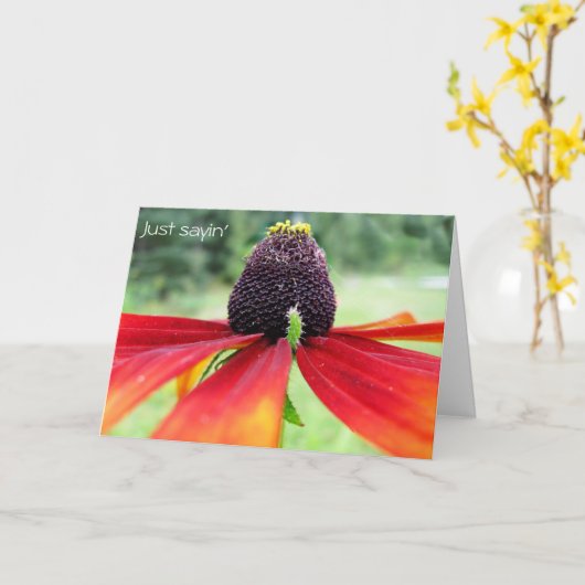 Rubeckia, zeg het maar kaart (Gele Bloem)