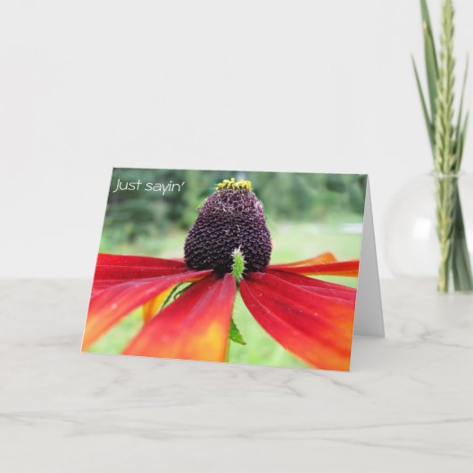 Rubeckia, zeg het maar kaart (Voorkant)