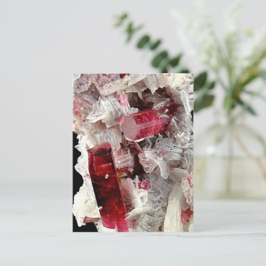 Rubellite Briefkaart (Staand voorkant)