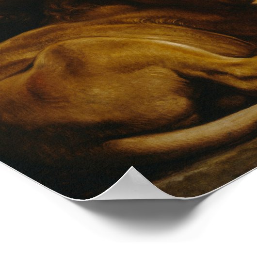 Rubens - Daniel in Lions' Den Haag Poster (Hoek)