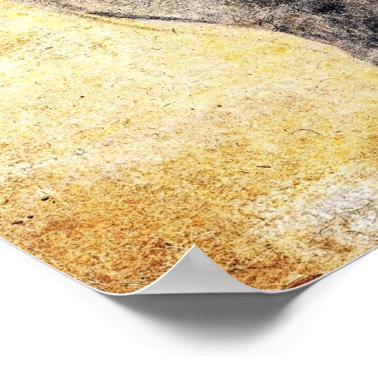 Rubens - Lion Poster (Hoek)