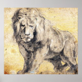 Rubens - Lion Poster (Voorkant)