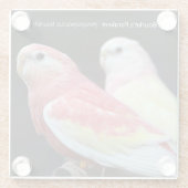 Rubino Bourke's parkiet Glazen Onderzetter (Achterkant)