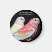 Rubino Bourke's parkiet Magneet (Voorkant)