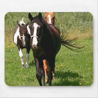 Rubriek Muismat thuis