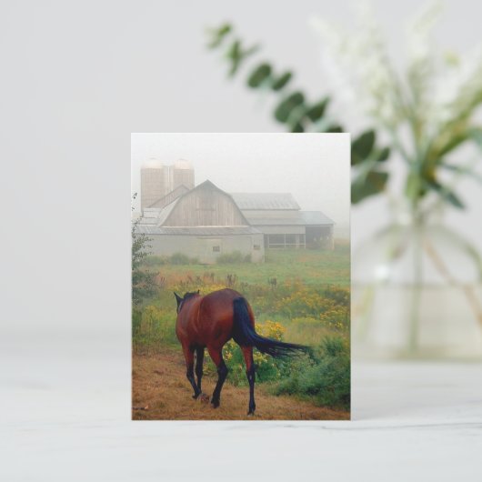 Rubriek startpunt briefkaart (Staand voorkant)