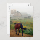 Rubriek startpunt briefkaart (Voorkant / Achterkant)