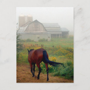 Rubriek startpunt briefkaart