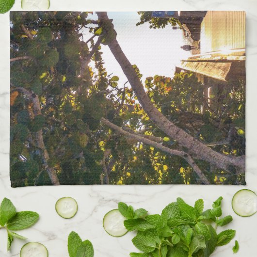 Rubriek voor de keukenhanddoeken van Beach (Gevouwen)