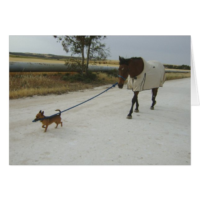 Rubriek voor thuisgebruik (Voorkant Horizontaal)