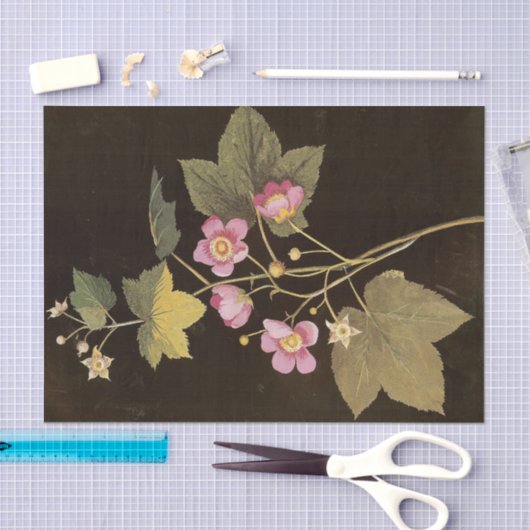 Rubus Odoratus van Mary Delany Tissuepapier (Craft)