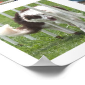 Ruby Agility Poster (Hoek)