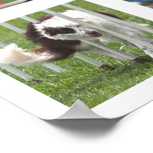 Ruby Agility Poster (Hoek)