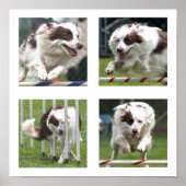 Ruby Agility Poster (Voorkant)