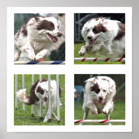 Ruby Agility Poster (Voorkant)