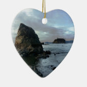 Ruby Beach in het Nationaal Park van de Olympische Keramisch Ornament (Rechts)