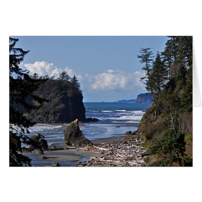 Ruby Beach on the Olympic Peninsula, Washington St (Voorkant Horizontaal)