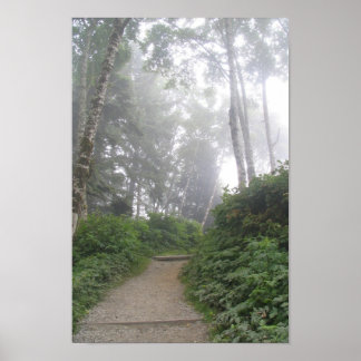 Ruby Beach, Pacific Coast - WA Poster