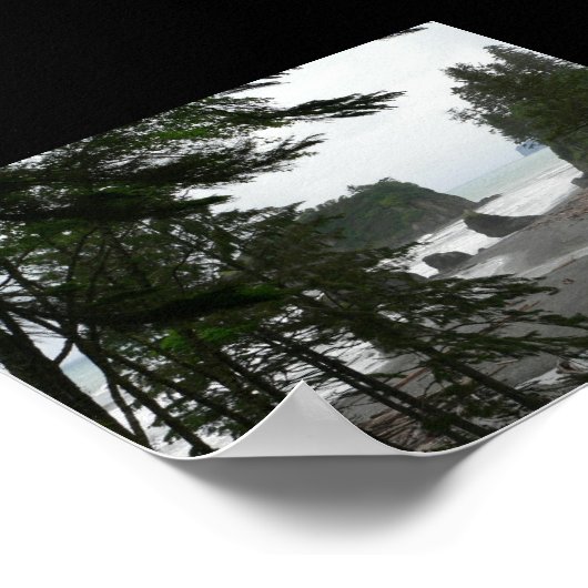 Ruby Beach Poster (Hoek)