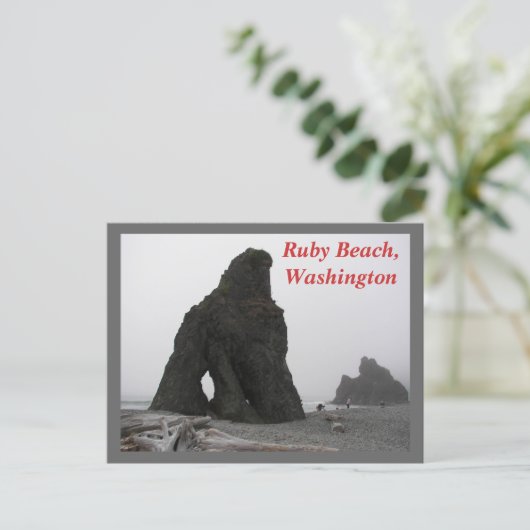 Ruby Beach, Washington Reisfoto Briefkaart (Staand voorkant)