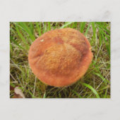 Ruby Bolete Briefkaart (Voorkant)