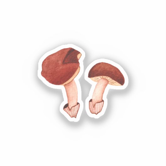 Ruby Bolete (Hortiboletus rubellus) Sticker (Voorkant)