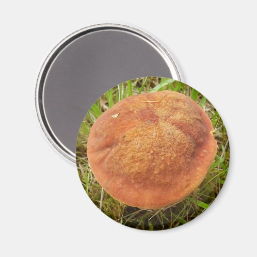 Ruby Bolete Mushroom Magnet (Voorkant / Achterkant)