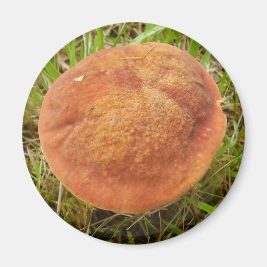 Ruby Bolete Mushroom Magnet (Voorkant)