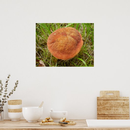 Ruby Bolete Mushroom Poster (Keuken)