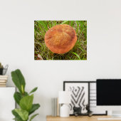 Ruby Bolete Mushroom Poster (Thuiskantoor)