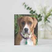 Ruby Briefkaart (Staand voorkant)