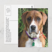 Ruby Briefkaart (Voorkant / Achterkant)