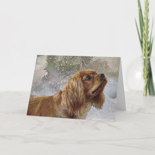 Ruby Cavalier-kerstkaart Feestdagen Kaart (Voorkant)