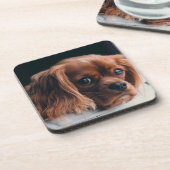 Ruby Cavalier King Charles Spaniel Bier Onderzetter (Linkerzijde)