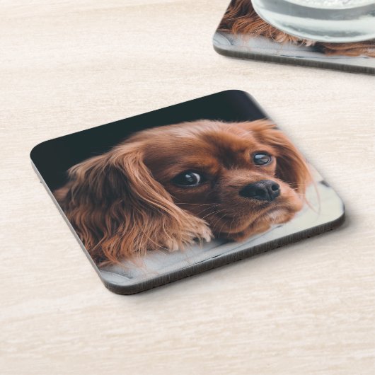Ruby Cavalier King Charles Spaniel Bier Onderzetter (Linkerzijde)