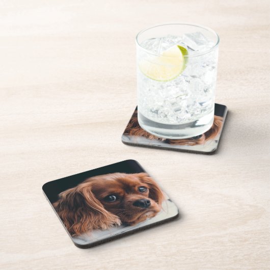 Ruby Cavalier King Charles Spaniel Bier Onderzetter (Rechterzijde)