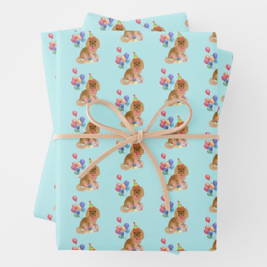 Ruby Cavalier King Charles Spaniel Birthday Inpakpapier Vel (In situ)