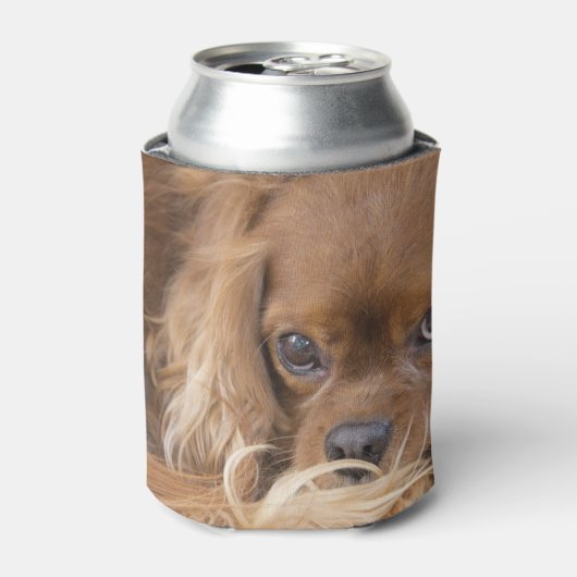 Ruby Cavalier King Charles Spaniel Blikjeskoeler (Blikje Voorkant)