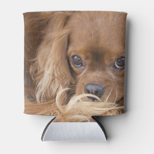 Ruby Cavalier King Charles Spaniel Blikjeskoeler (Voorkant)
