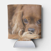 Ruby Cavalier King Charles Spaniel Blikjeskoeler (Achterkant)