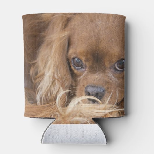 Ruby Cavalier King Charles Spaniel Blikjeskoeler (Achterkant)