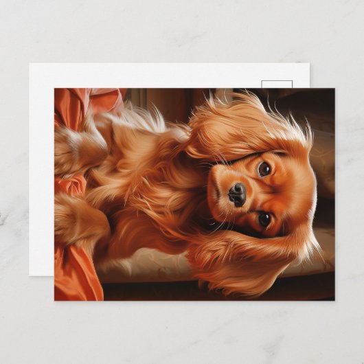 Ruby Cavalier King Charles Spaniel Briefkaart (Voorkant / Achterkant)