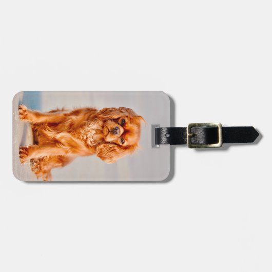 Ruby Cavalier King Charles Spaniel Dog Bagagelabel (Voorkant horizontaal)