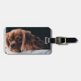 Ruby Cavalier King Charles Spaniel Dog Bagagelabel