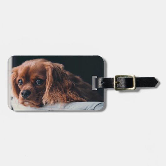 Ruby Cavalier King Charles Spaniel Dog Bagagelabel (Voorkant horizontaal)