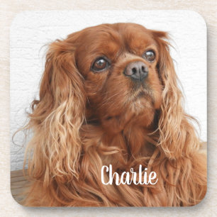 Ruby Cavalier King Charles Spaniel Dog Bier Onderzetter